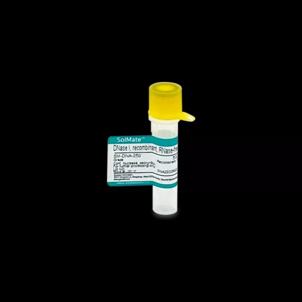 DNase I, recombinant, RNase-free