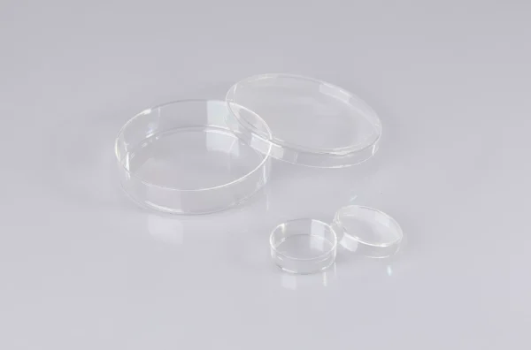 Petri Dish