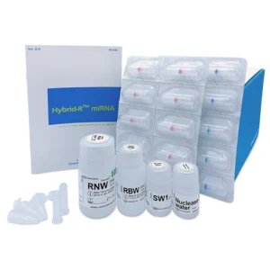 Hybrid-R™ miRNA