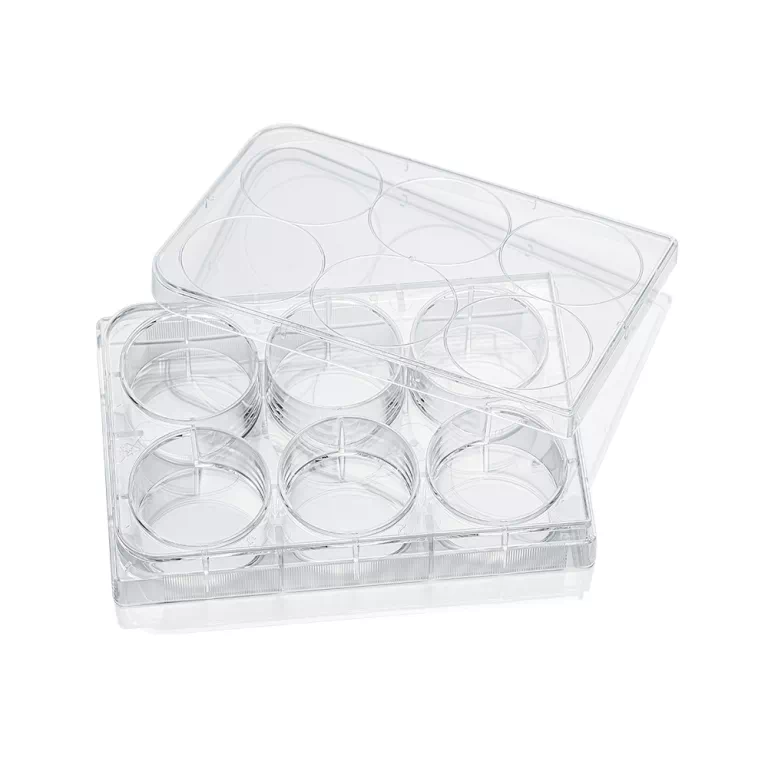 Cell culture plate, non-treated, skin packing | LABSELECT - 이미지 5