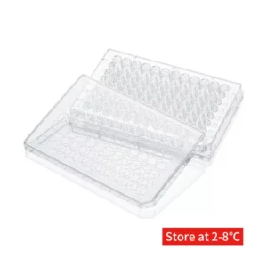 Cell culture plate Poly-D-Lysine(PDL) surface treatment 5종 | LABSELECT