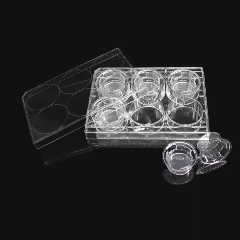 Cell Culture Insert PET membrane 5종 | LABSELECT - 이미지 2
