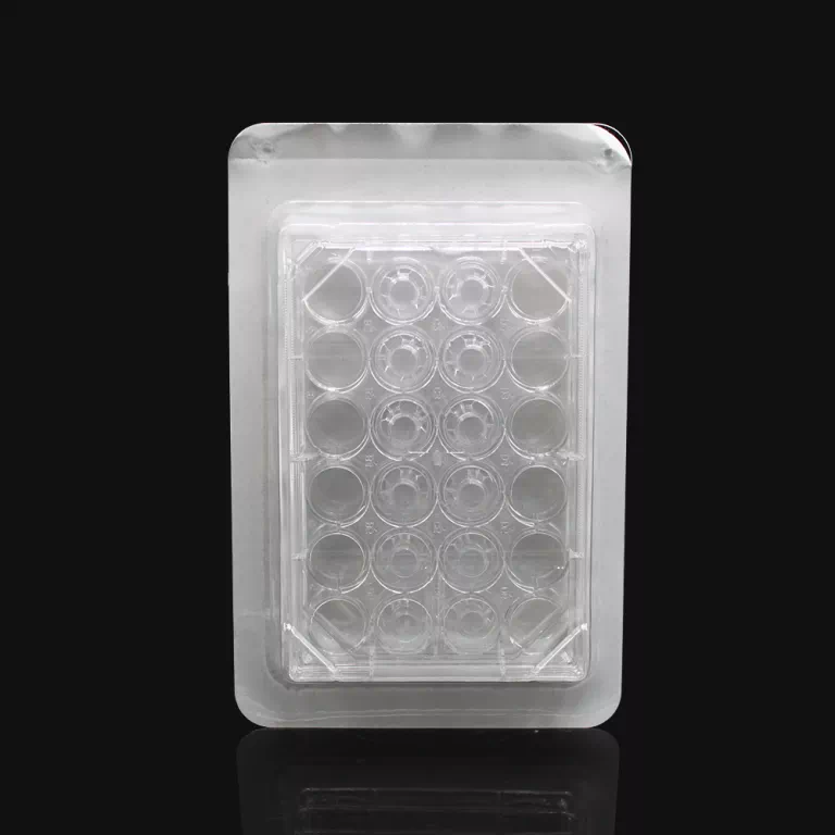 Cell Culture Insert PET membrane 5종 | LABSELECT - 이미지 3