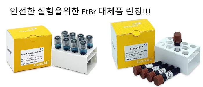 배너 ETBR